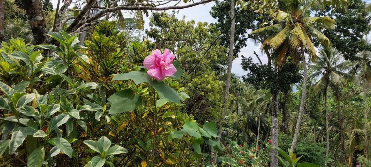 Windy Ridge Kandy Esterno foto